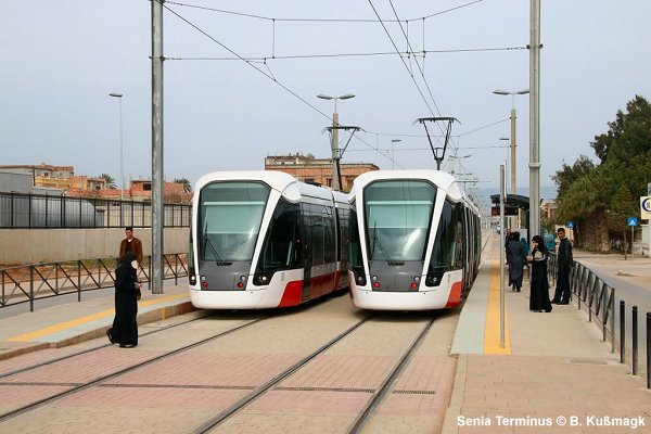 Tram Oran