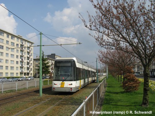 Antwerpen Tram