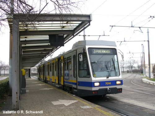 Tram Torino